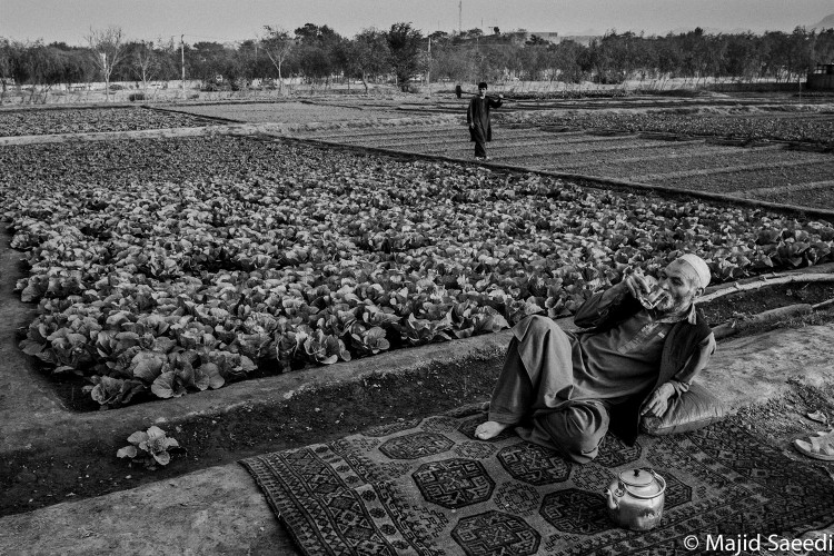 An Afghan farmer resting alongside his farm, Eastern Kabul